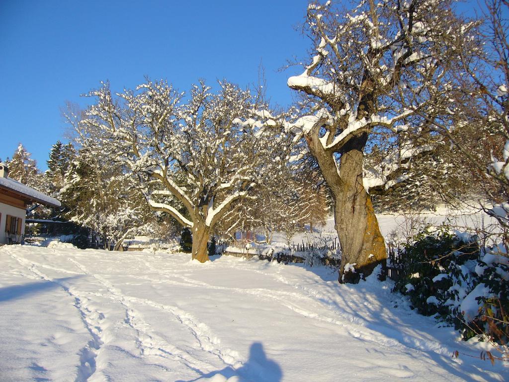 Gastreinhof Мелтина Екстериор снимка